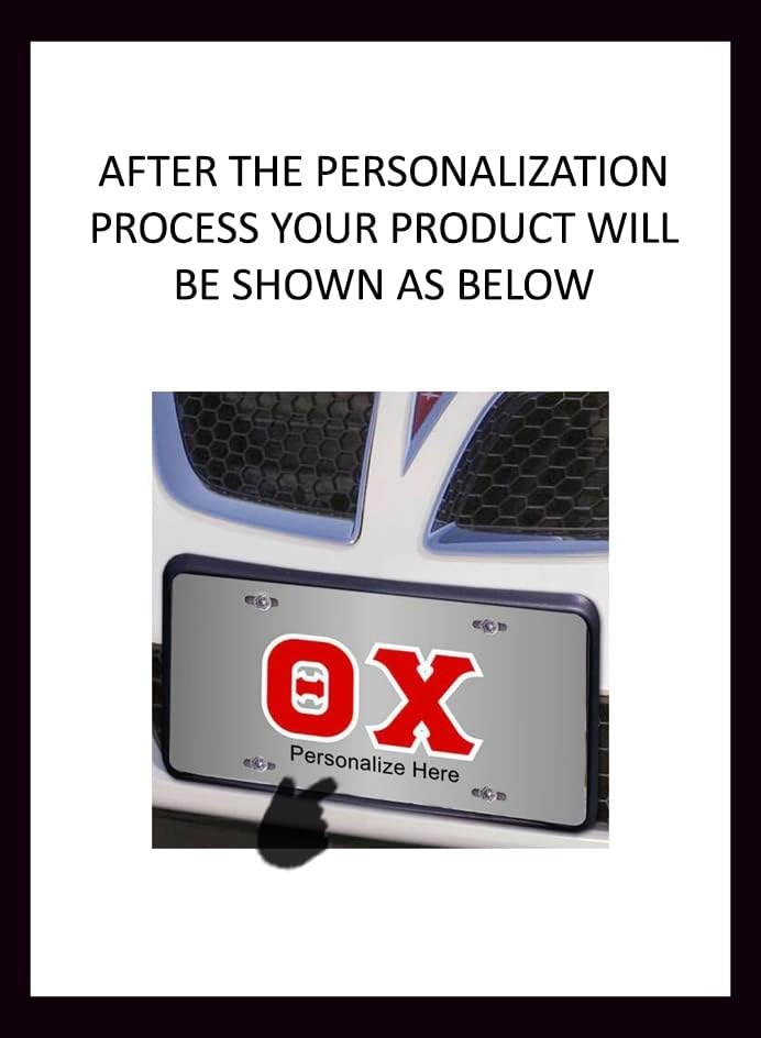 image:imageTheta Chi Lettered License Cover