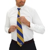 Greekgear Zeta Beta Tau Striped Necktie