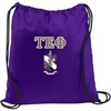 Greekgear Tau Epsilon Phi Crest Shield Cinch Sack