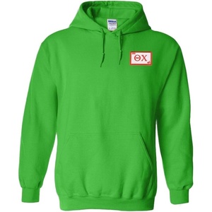 Greekgear Theta Chi Flag Patch Hooded Sweatshirt(Kelly Green)
