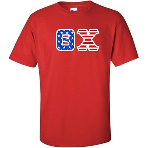 Theta Chi Greek Letter American Flag Tee(Red)