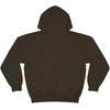 Got Jesus? – Christian Hoodie Sweatshirt(Dark Chocolate)