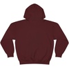 Got Jesus? – Christian Hoodie Sweatshirt(Maroon)