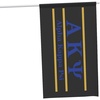 Alpha Kappa Psi Greek Letter Flag