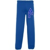 Delta Gamma Lettered Sweatpants(Blue)