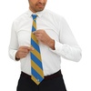 Greekgear Alpha Tau Omega Striped Necktie