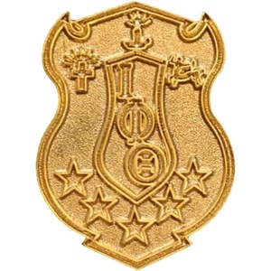 Iota Phi Theta 1″T Sandblast Gold Shield Lapel Pin