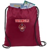 Greekgear Triangle Crest Shield Cinch Sack