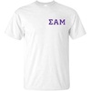 Sigma Alpha Mu Flag T-Shirt(White)