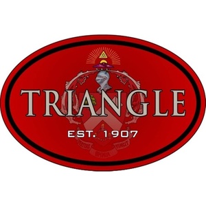 Triangle Color Oval Decal