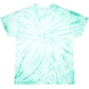 Greekgear Mason Capsule Tie-Dye Tee(Mint)