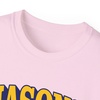 Mason Vintage Super Tee(Light Pink)
