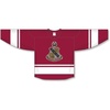 Alpha Sigma Phi League Hockey Jersey(Maroon/White)