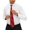 Greekgear Alpha Sigma Phi Striped Necktie