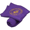Greekgear Delta Tau Delta Sweatshirt Blanket