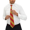 Greekgear Phi Kappa Psi Striped Necktie