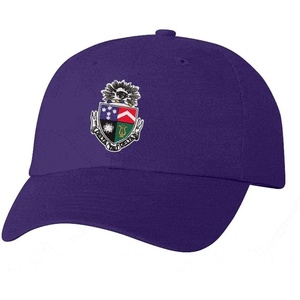Delta Tau Delta DTD Crest – Shield Hat(Purple)