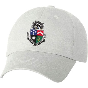 Delta Tau Delta DTD Crest – Shield Hat(White)