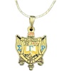 Greekgear Sigma Gamma Rho Shield Pendant W/Chain