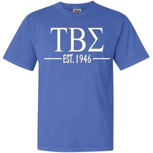 Tau Beta Sigma Custom Greek Lettered Short Sleeve T-Shirt(Flo Blue)