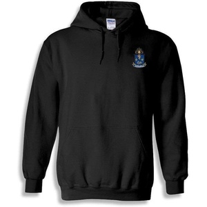 Greekgear Alpha Epsilon Pi Crest – Shield Emblem Hooded Sweatshirt(Black)