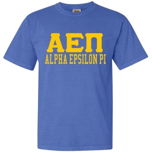 Greekgear Alpha Epsilon Pi Greek Heavyweight T-Shirt(Mystic Blue)