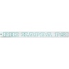 Phi Kappa Psi Long Window Decal