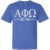 Alpha Phi Omega Custom Greek Lettered Short Sleeve T-Shirt(Flo Blue)