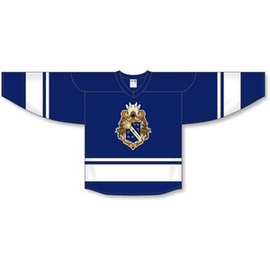 Alpha Phi Omega League Hockey Jersey(Royal/White)